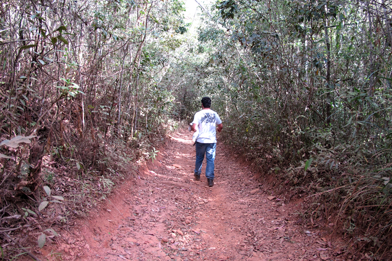Trilha para Cachoeira de Santo Antônio, em Morro Vermelho