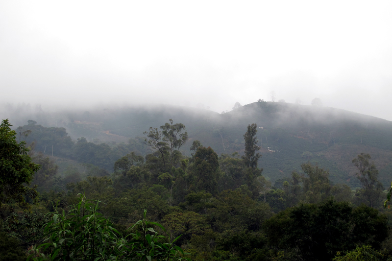 Parque Nacional do Caparaó