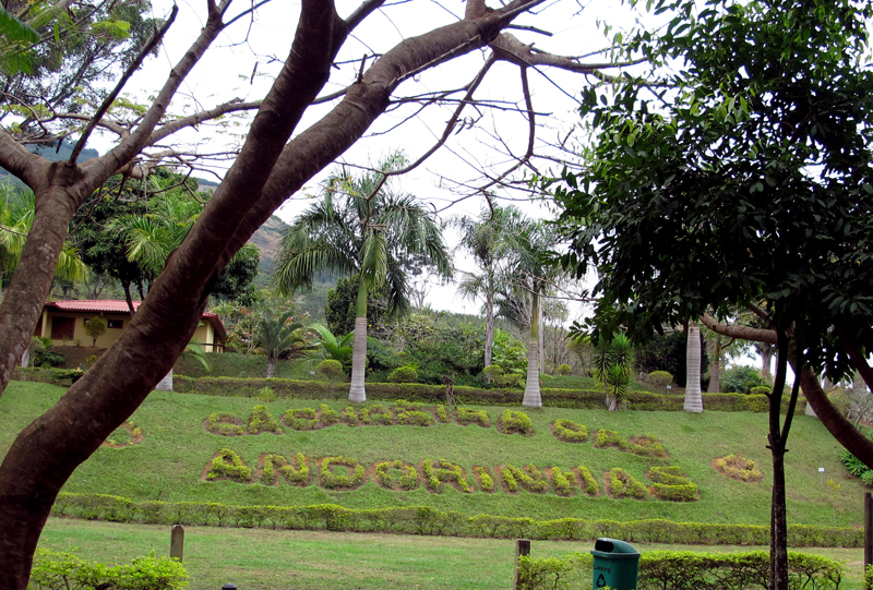 Parque Cachoeira das Andorinhas