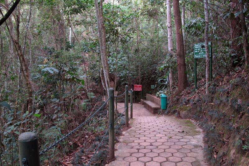 Parque Cachoeira das Andorinhas