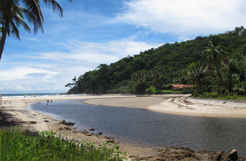 Jeribucaçu