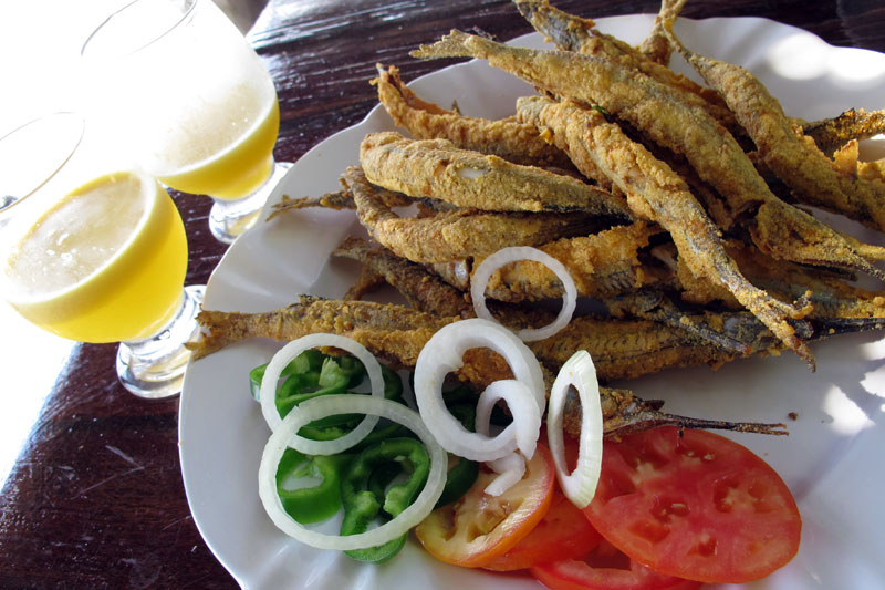 Peixe agulha de almoço