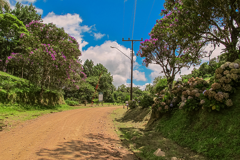 Morro Azul Timbó Santa Catarina