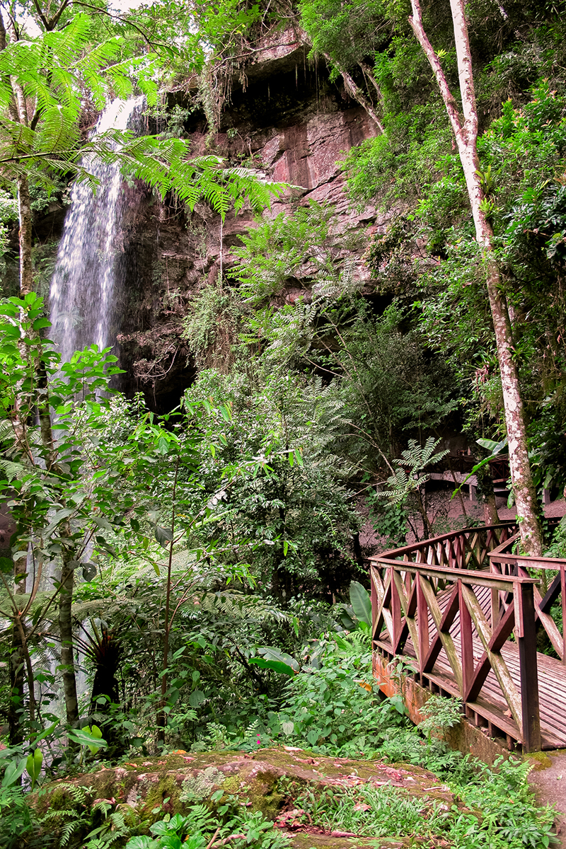 Gruta Nossa Senhora de Fátima Doutor Pedrinho Santa Catarina
