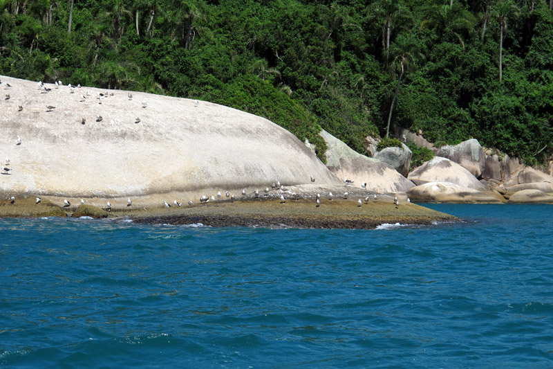 Ilha do Campeche