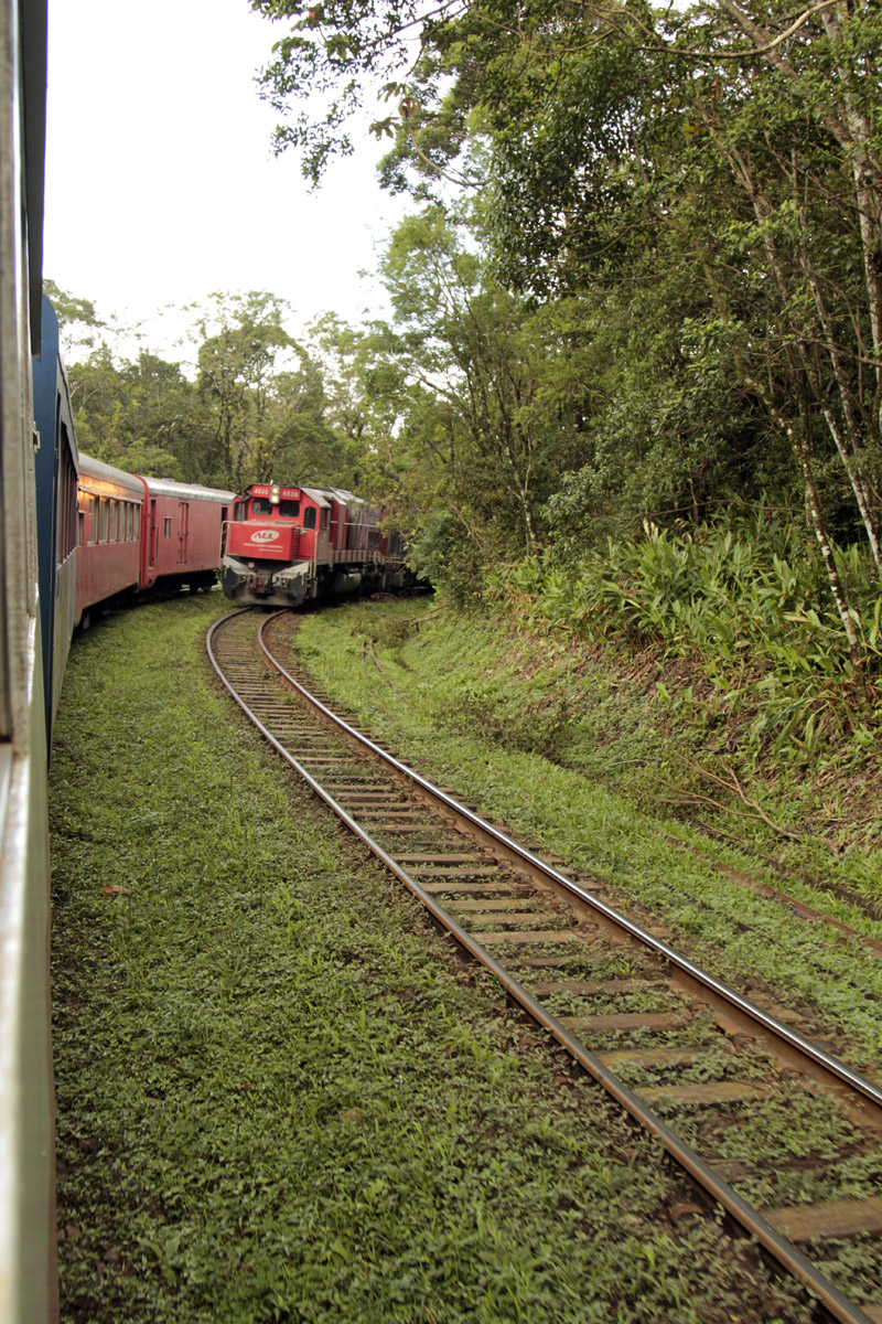 trem da Serra do Mar Paranaense em Morretes