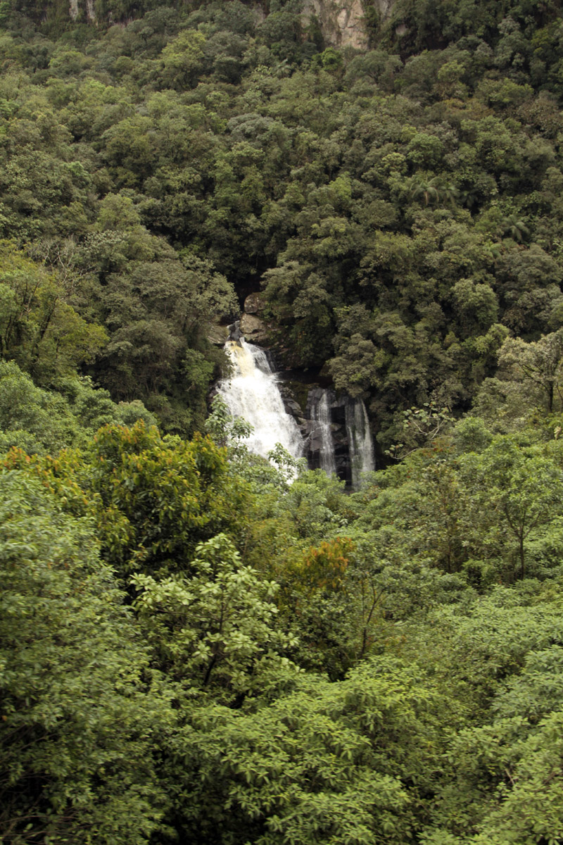 trem da Serra do Mar Paranaense em Morretes