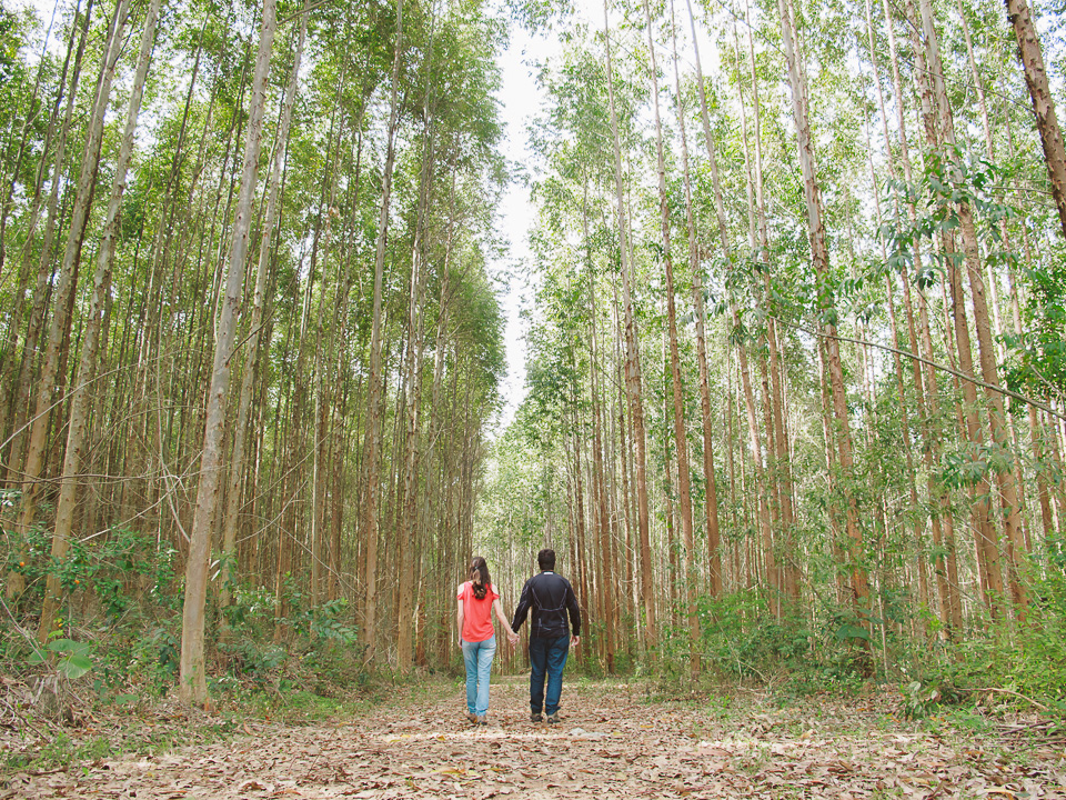 Bicame de Pedra