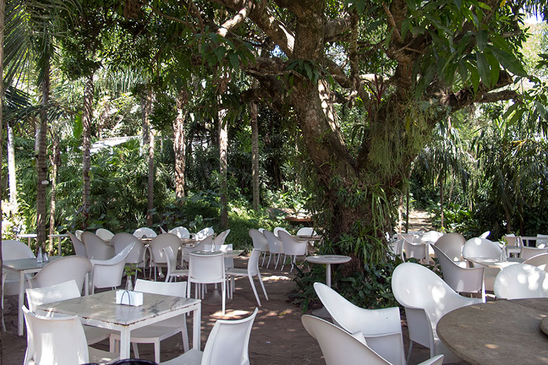 restaurante em inhotim