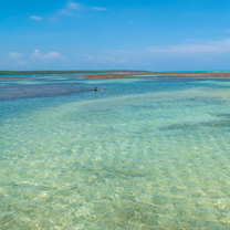 Garapuá