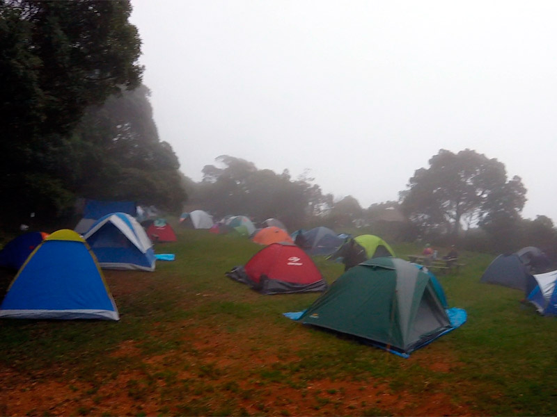 área de camping na Tronqueira, no Pico da Bandeira