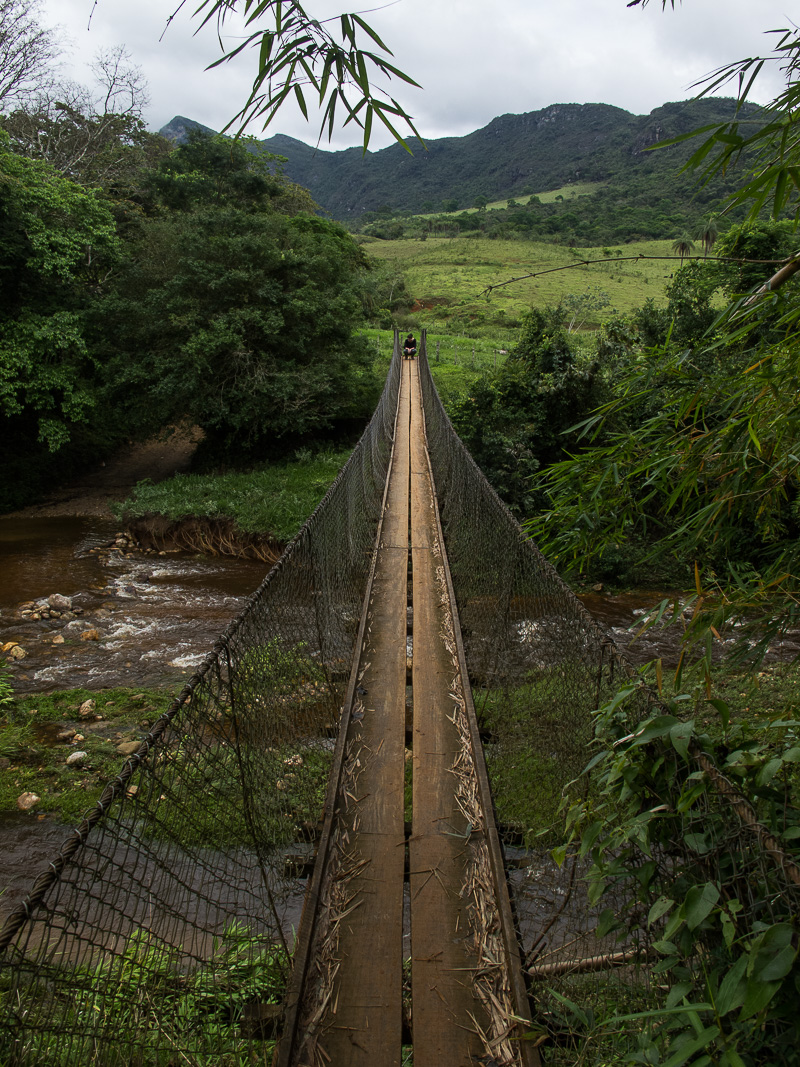 cabeça de boi