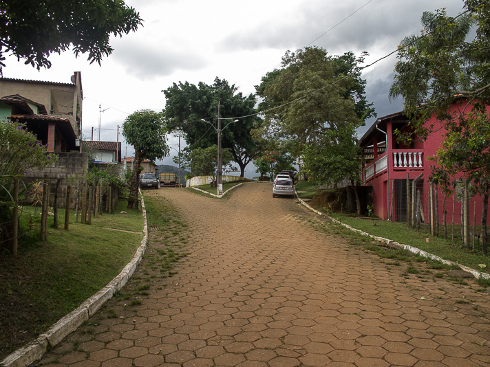cabeça de boi