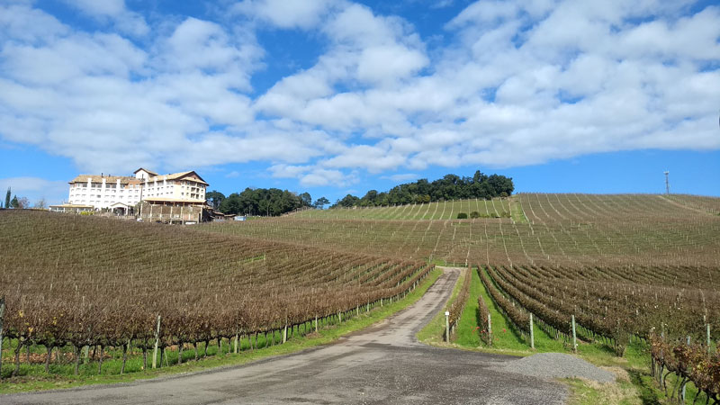 Vinícola Miolo
