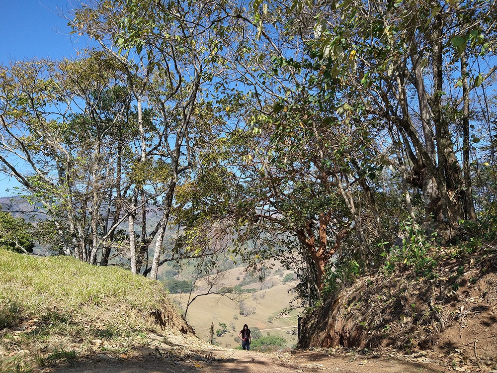 Trilha da Pedra do Cruzeiro gonçalves