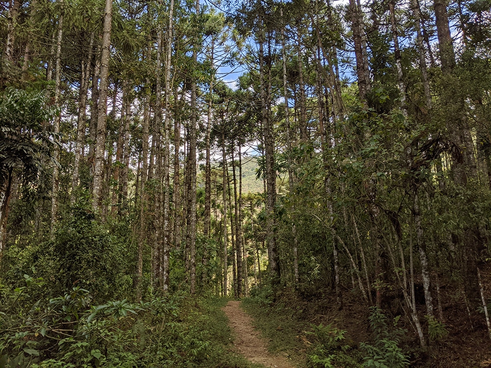 Trilha da Pedra do Forno