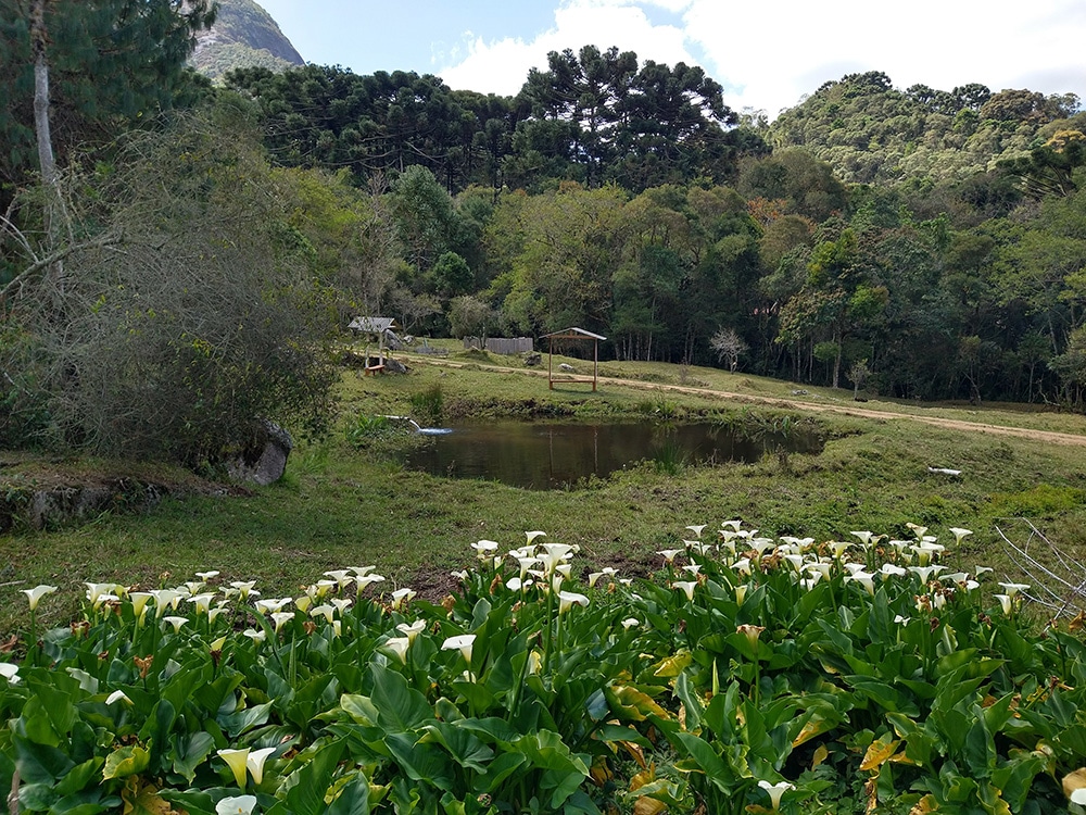 Trilha da Pedra do Forno